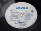 Ricotti & Albuquerque First Wind Pegasus PEG2 Stunning Vinyl, Looks Unplayed