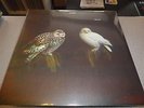 Dungen - Häxan - LP Vinyl //// Neu & OVP