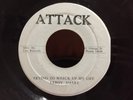 LEROY SMART/TRYING TO WRECK UP MY LIFE ATTACK ROCKERS REGGAE 45 DENNIS BROWN