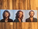 BEE GEES GREATEST HITS 1979 vinyl 2 LPs RSO RS-2-4200 w/ inner sleeves