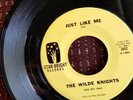 THE WILDE KNIGHTS  JUST LIKE ME / I DON'T CARE 45RPM VG+ VINYL 1965 STAR BRIGHT