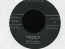 WARD DARBY & THE RAVES Wham-O Safari Petite Instro Rockabilly Mad Mike 45 Hear