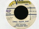 JERRY SULLIVAN Curley Headed Baby on Vee Rockabilly 45 Hear