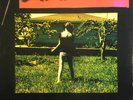 bikini Kill, Pussy Whipped, Vinyl Record, 