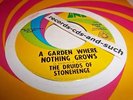 THE DRUIDS OF STONEHENGE-A GARDEN WHERE NOTHING GROWS/PAINTED WOMAN VG+ VINYL 45