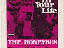 HONEYBUS Throw My Love Away MOD DANCER Germany 45 Do I Figure PSYCH Pete Dello