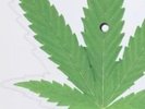 Cheech & Chong Up In Smoke Marijuana Shaped Pot Leaf Picture Disc Pic Vinyl RSD
