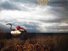 Depeche Mode ?– A Broken Frame Vinyl LP Rhino Records 2007 NEW/SEALED
