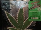 CHEECH AND CHONG 40th ANNV. UP IN SMOKE PICTURE VINYL RECORD STORE DAY 2018 RSD