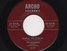 '58 CONN. White DooWop/Teen ACADEMICS Darla, My Darlin'/At My Front Door HEAR