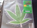Cheech & Chong Up In Smoke 40th Anniversary 7