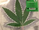 Cheech & Chong's - Up In Smoke 40th Anniversary RSD 2018 VINYL 7