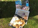 Taylor Swift X3 RSD Fearless, Debut And 1989
