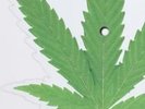 Cheech and Chong Up in Smoke 40th Anniversary 7