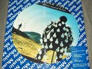 Pink Floyd Still Sealed Picture Disk A Delicate Sound of Thunder Brazil