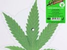 CHEECH AND CHONG 40th ANNV. UP IN SMOKE PICTURE VINYL RECORD STORE DAY 2018 RSD