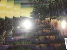 FLEETWOOD MAC Tango in the Night Alternate - Record Store Day 2018 - SEALED