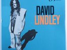 DAVID LINDLEY El Rayo-x ASYLUM LP SEALED