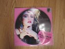 MADONNA 2018 record store day picture disc lp The First Album