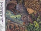 T-Rex / Tyrannosaurus Rex My People Were Fair An... vinyl LP  record JPN