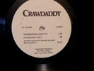 Crawdaddy Magazine LP Interview with Brian Wilson Promo, 1977