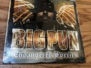 Big Pun ?– 