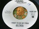 Canadian Hard Rock Hammond Psych Burner Private 45 Bullrush I Want to Be NM HEAR