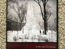 The White Stripes Live In Mississippi 2 LP Vinyl - Vault Release