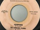 Fabulous Flames 