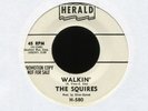 THE SQUIRES Walkin' on Herald Promo R&B Rocker 45 Hear