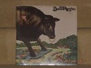 BULL ANGUS - 
