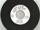 JUNIOR BYLES THE UPSETTERS / LONG WAY / LONGER WAY / UPSETTERS / 7''/ VG++