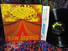 TOPS  1970 Orig SAVOY BROWN   RAW SIENNA    MASTERPIECE Hard BLUES Chris Youlden
