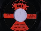 CHARMELS: Loving Material / I'll Gladly Take You Back 45 Soul