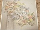 Vinyl Record - The National High Violet - Never Played