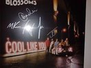 BLOSSOMS - COOL LIKE YOU -  RARE FULLY SIGNED NEW 12