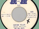 DEL-RAYS Fortune Teller / Dimples 45rpm R and H 1965 original ZTS899806-1A