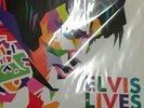 Bobby Solo-Elvis Lives  VINYL LP NEW