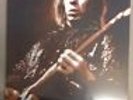 Sonics Rendezvous Band LP Sealed City Slang Fred Sonic Smith