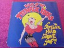 Last Of The Teenage Idols - Satellite Head Gone Soft (1989 UK LP VG+ Vinyl)