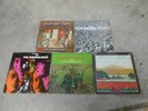 THE YOUNGBLOODS-5 LP'S-S/T-EARTH MUSIC-GOLD AND DUSTY-WL PROMO-ELEPHANT MOUNTAIN