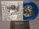 Agoraphobic Nosebleed / Insect Warfare 5