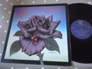 RARE SOUTH AFRICA VINYL LP NM THIN LIZZY BLACK ROSE STAR5074 TOP AUDIO VERTIGO