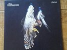 The Courteeners - Falcon (1st Press Vinyl LP) (2010 UK). Never Played. Polydor.