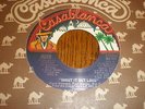 Kiss 45 Shout It Out Loud CASABLANCA PROMO
