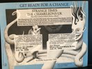 Vintage The Chameleons UK Strange Times & Bonus Album PROMO version w/insert