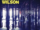 BRIAN WILSON 