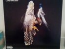 The Courteeners - Falcon Vinyl LP Original Release , RARE