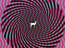 Deerhunter - Cryptograms/Flourescent Grey (Vinyl Used Like New)