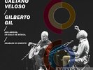 Caetano Veloso Gilberto Gil - Two Friends One Century Of Music (Live) Vinyl LP